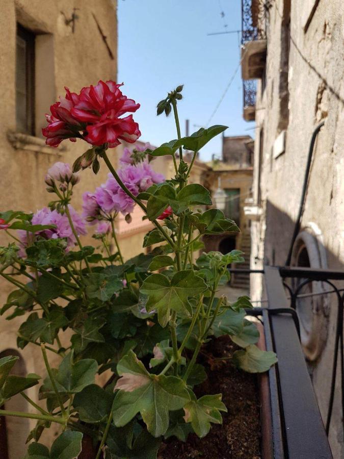 Casa Vacanze Da Mammanonna Taurasi Buitenkant foto